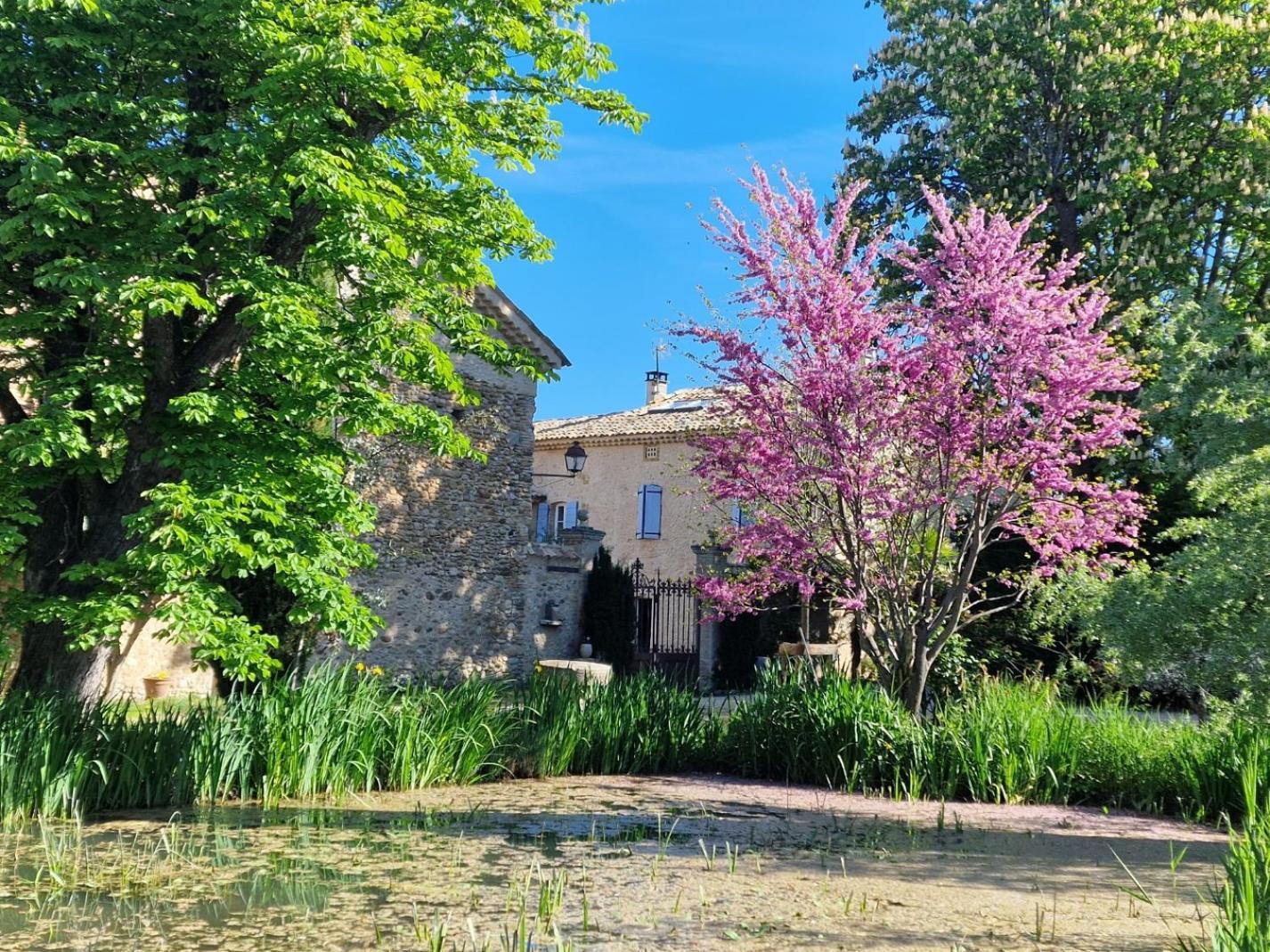 Le Figuier - La Roseraie Du Val'ensoleille * Valensole